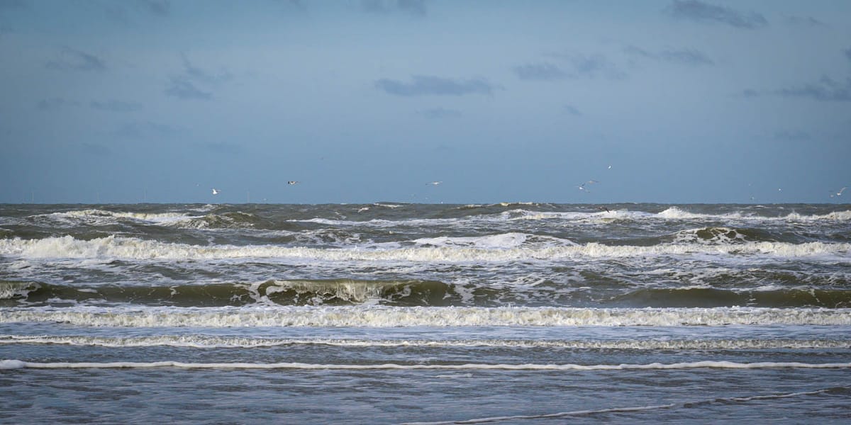 SURF Program Manager Talks about Their Mastodon Pilot for Dutch Higher Education